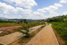 chemin à travers la zone humide