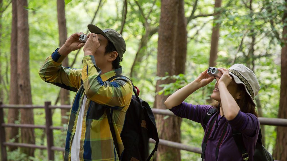 Observateurs d'oiseaux sur un sentier forestier en Chine.