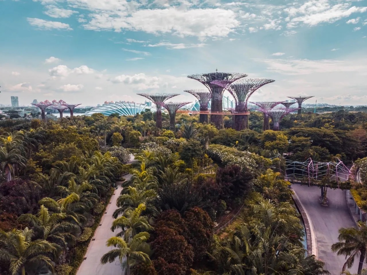 jardins luxuriants à singapour