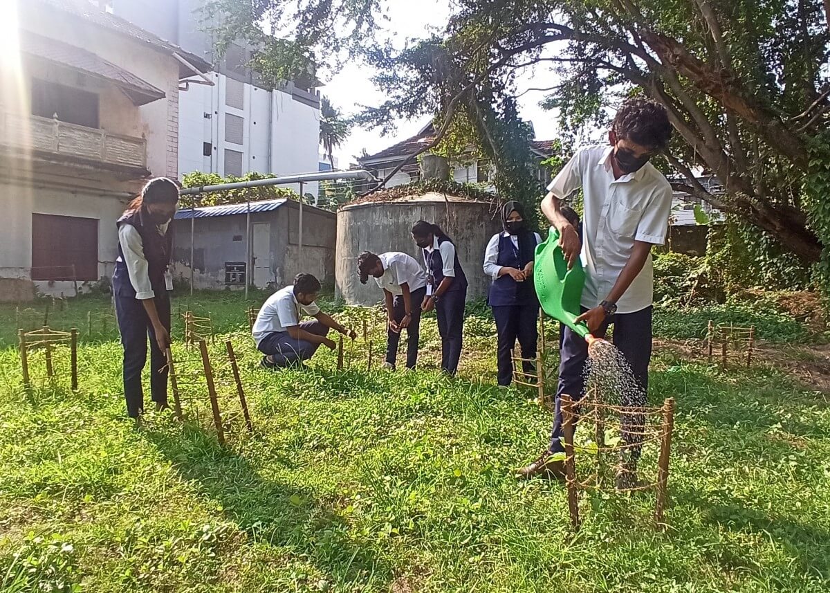 Des étudiants s'occupent d'un jardin à Kochi.