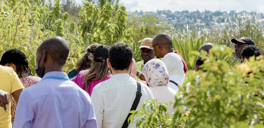 Un groupe visite la zone humide de Nyandungu lors de la UrbanShift City Academy à Kigali en 2022.