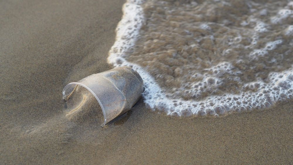Un gobelet en plastique à usage unique s'est retrouvé sur une plage.