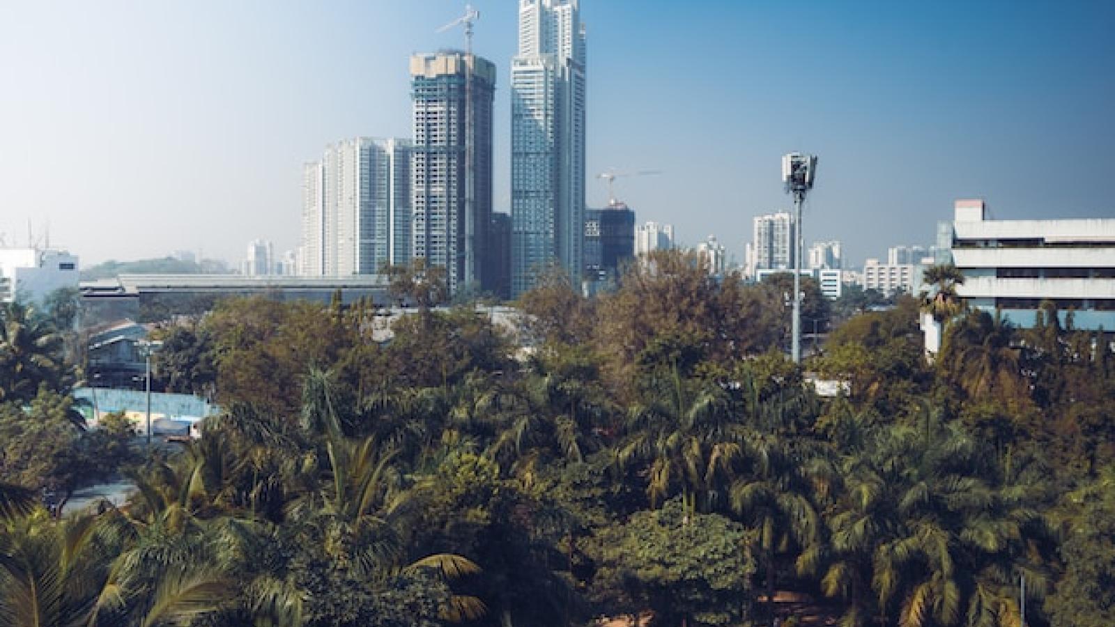 Vue de l'horizon d'une ville avec de la verdure au premier plan