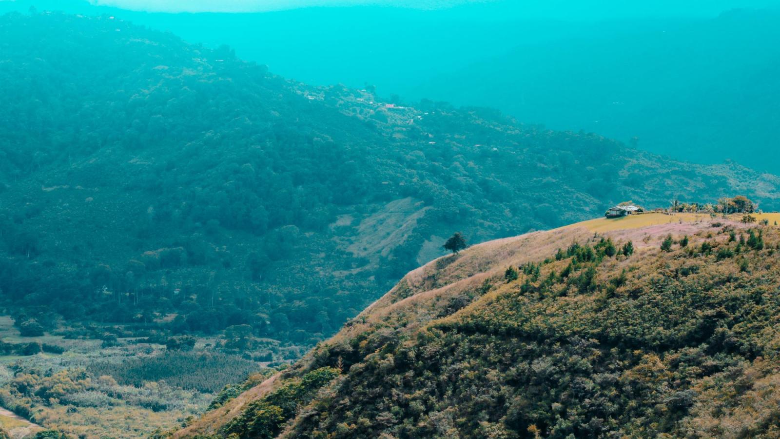 Colline dans un paysage luxuriant