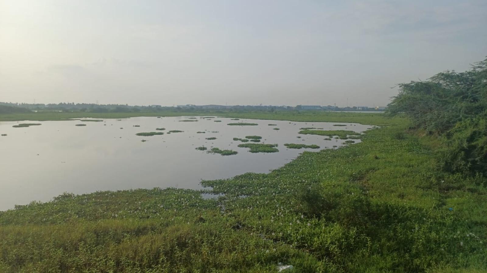 Lac de Chennai
