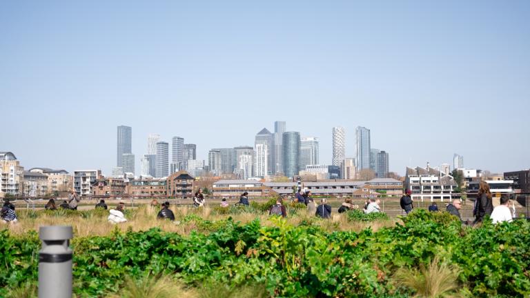 Paysage urbain depuis un jardin sur le toit