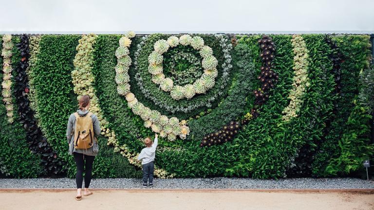 un mur végétal planté en spirale