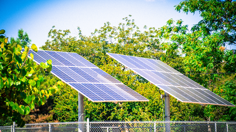 panneaux solaires devant des arbres verts