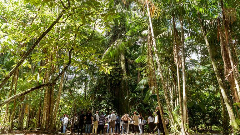 les participants au forum urbanshift visitent l'ile de combu dans la region amazonienne