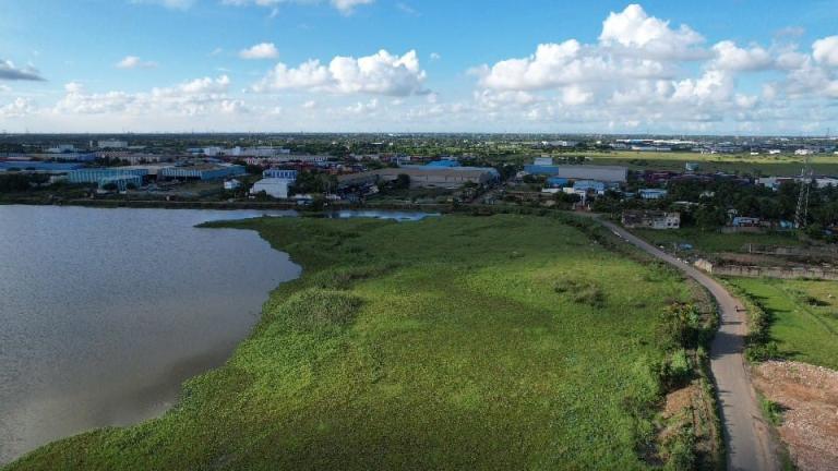 un lac à chennai, inde