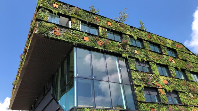 Nature sur la façade d'un bâtiment