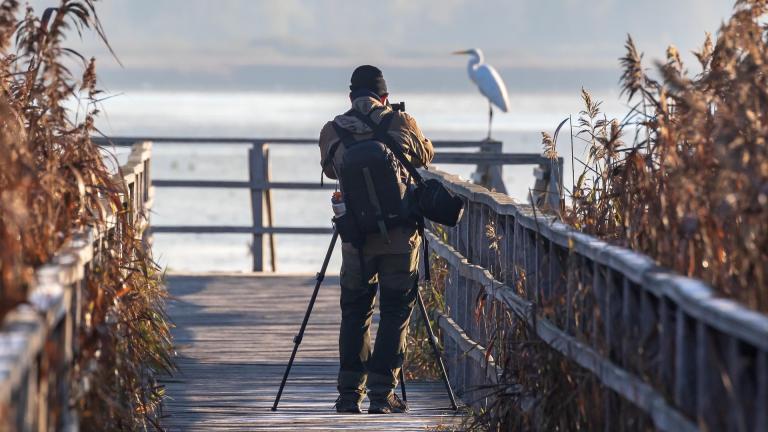 Un homme photographiant un oiseau devant un lac