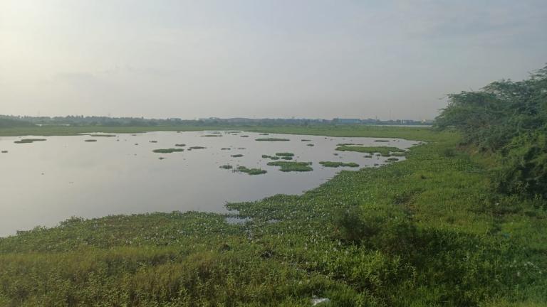 Lac de Chennai