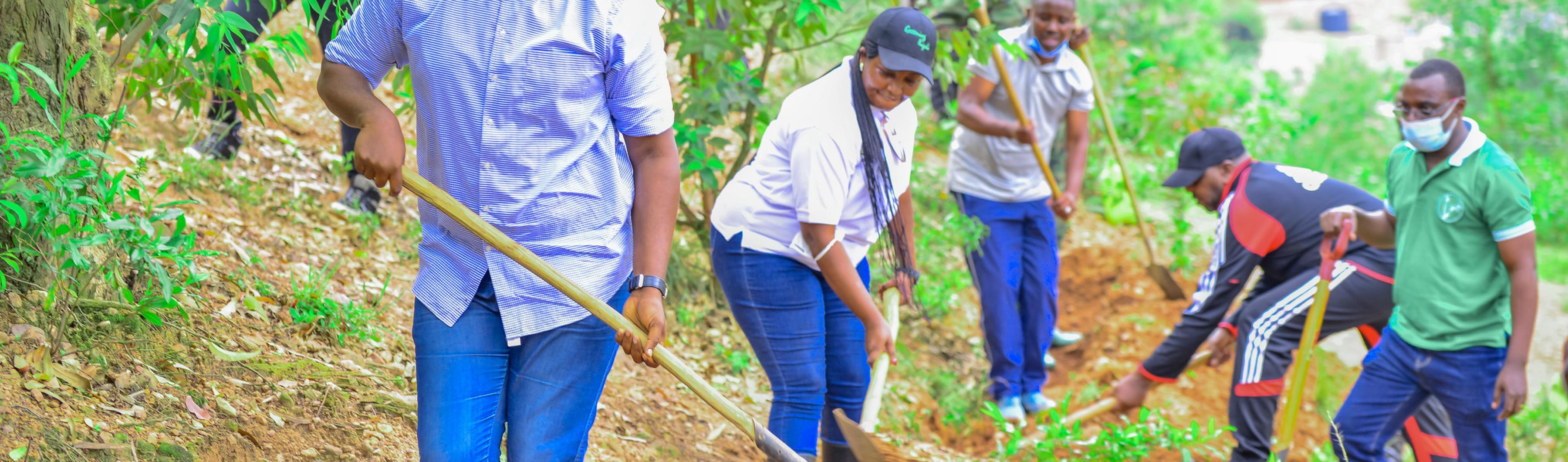 Le maire de la Ville de Kigali, Pudence Rubingisa, participe à la plantation d'un arbre communautaire. Ville de Kigali / Flickr. 