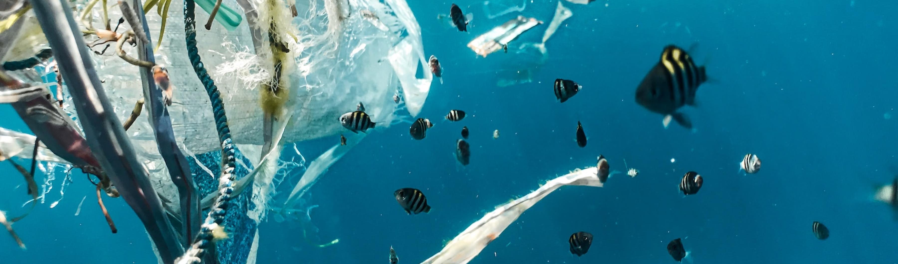 Poissons dans l'océan et pollution plastique