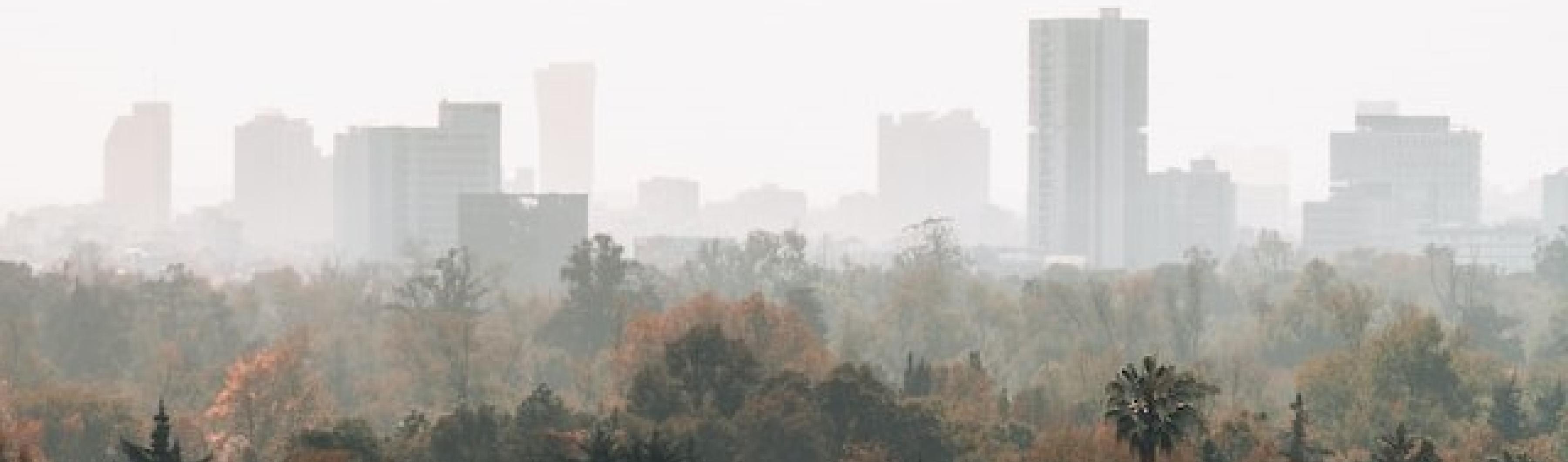 vue de la ville de mexico dans le smog