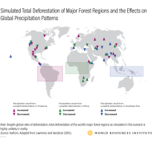 Infographie sur la déforestation totale simulée