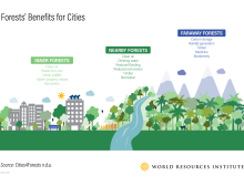 Infographie sur les avantages des forêts pour les villes