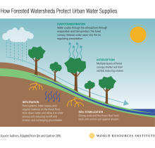 Comment les bassins versants forestiers protègent les réserves d'eau urbaines - infographie