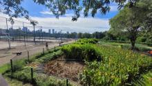 jardin de pluie de recife