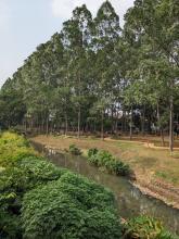 parc écologique de tebet