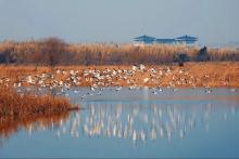 baie de hangzhou