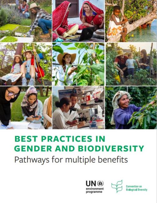 Meilleures pratiques en matière de genre et de biodiversité